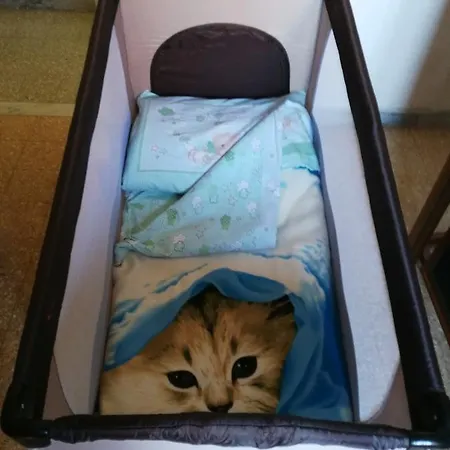 I Due Baroni - Fronte Campus Oda ve Kahvaltı 3*