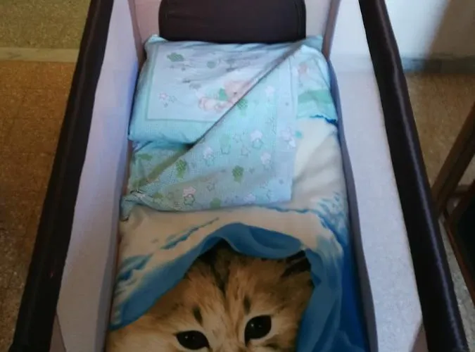 I Due Baroni - Fronte Campus فندق مبيت وإفطار 3*